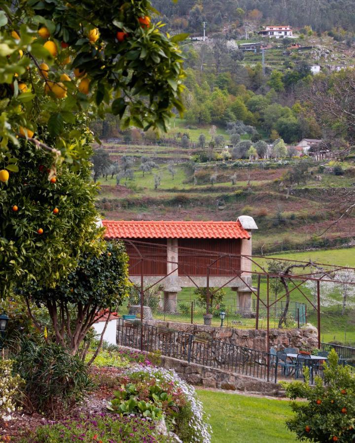 Moimenta Quinta Do Tapadinho - Wine & Tourism 빌라 외부 사진
