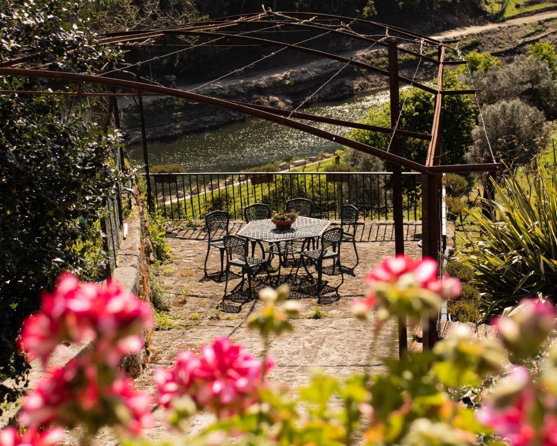 Moimenta Quinta Do Tapadinho - Wine & Tourism 빌라 외부 사진