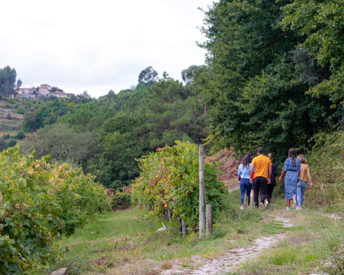 Moimenta Quinta Do Tapadinho - Wine & Tourism 빌라 외부 사진