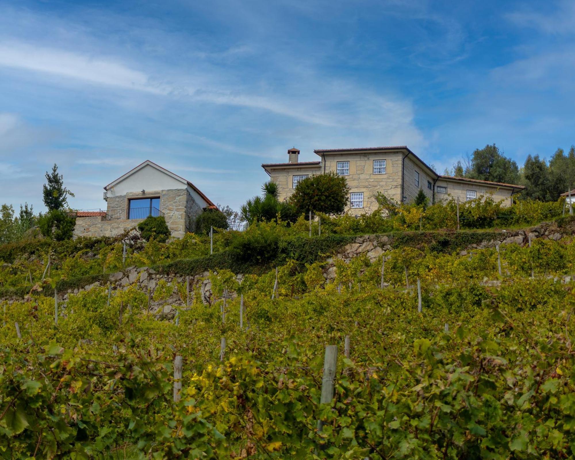 Moimenta Quinta Do Tapadinho - Wine & Tourism 빌라 외부 사진