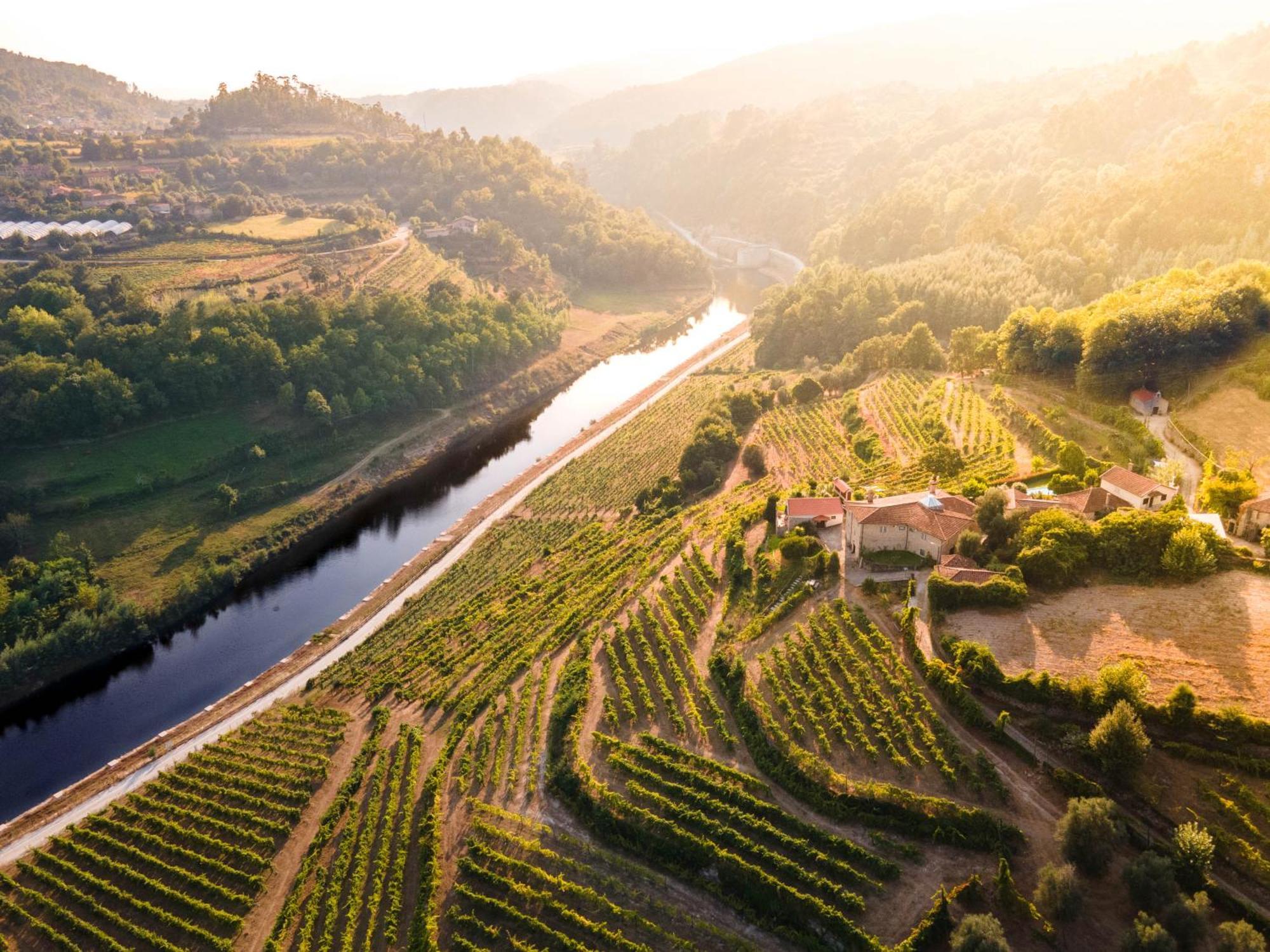 Moimenta Quinta Do Tapadinho - Wine & Tourism 빌라 외부 사진
